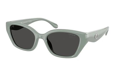 Lunettes de soleil Coach CBY91 (HC8434U 592487)