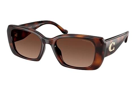 Lunettes de soleil Coach CBY82 (HC8435U 5120T5)