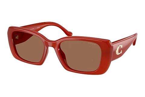 Lunettes de soleil Coach CBY82 (HC8435U 591673)