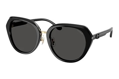 Lunettes de soleil Coach CBY93 (HC8436 500287)