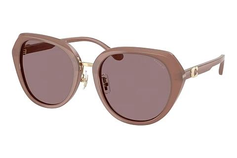 Lunettes de soleil Coach CBY93 (HC8436 54957N)