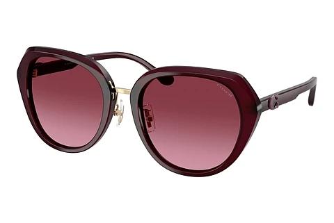 Lunettes de soleil Coach CBY93 (HC8436 59158H)