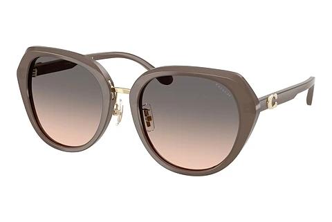 Lunettes de soleil Coach CBY93 (HC8436 5917G9)
