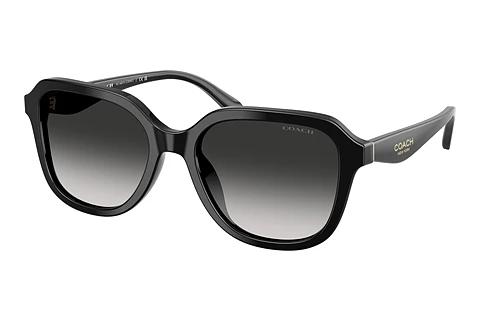 Lunettes de soleil Coach CBY87 (HC8437U 50023C)