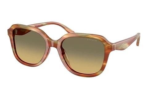 Lunettes de soleil Coach CBY87 (HC8437U 5898L0)