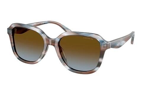 Lunettes de soleil Coach CBY87 (HC8437U 589913)