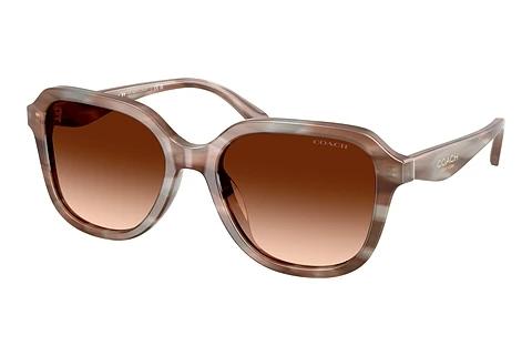 Lunettes de soleil Coach CBY87 (HC8437U 590174)