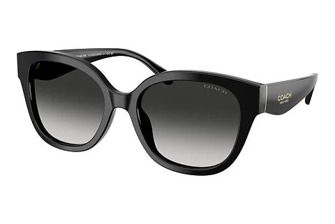 Lunettes de soleil Coach CBY94 (HC8438U 500287)