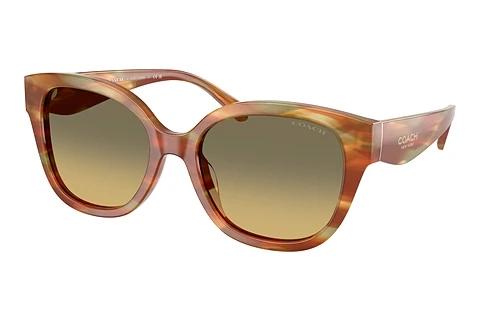 Lunettes de soleil Coach CBY94 (HC8438U 5898L0)