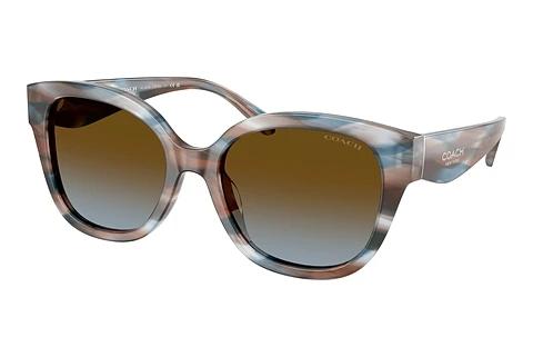 Lunettes de soleil Coach CBY94 (HC8438U 589913)