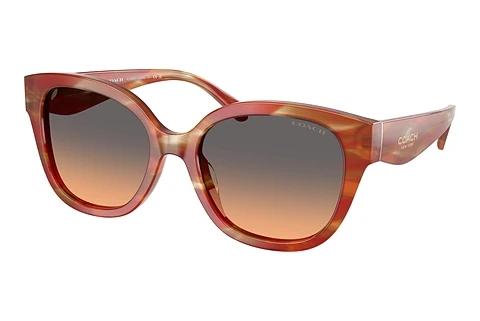 Lunettes de soleil Coach CBY94 (HC8438U 590018)