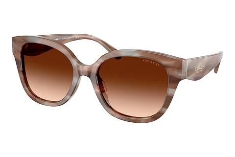 Lunettes de soleil Coach CBY94 (HC8438U 590174)