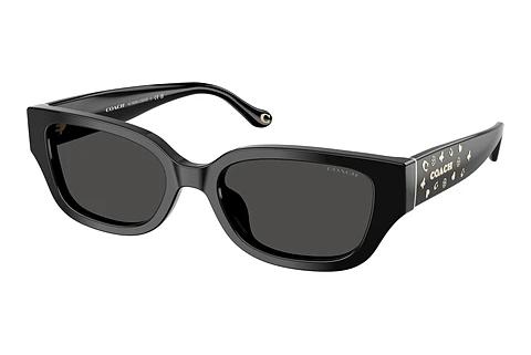 Lunettes de soleil Coach CBZ52 (HC8439U 500287)