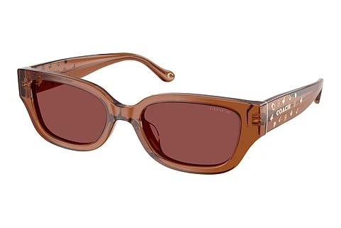 Lunettes de soleil Coach CBZ52 (HC8439U 581175)