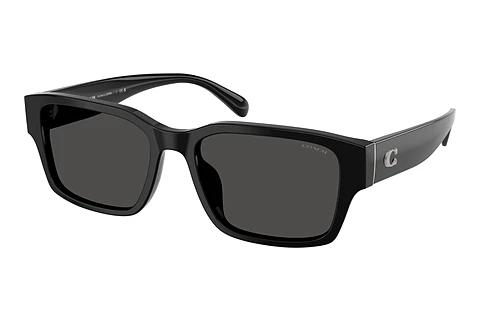 Lunettes de soleil Coach CBY96 (HC8441U 500287)