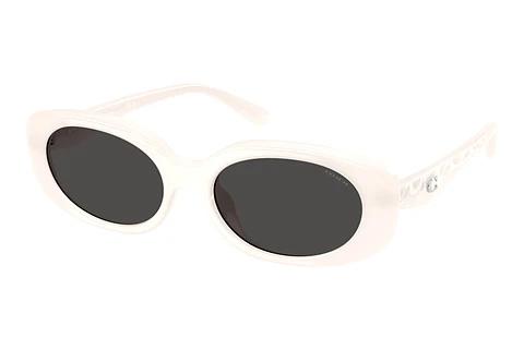 Lunettes de soleil Coach CBY84 (HC8443D 579087)