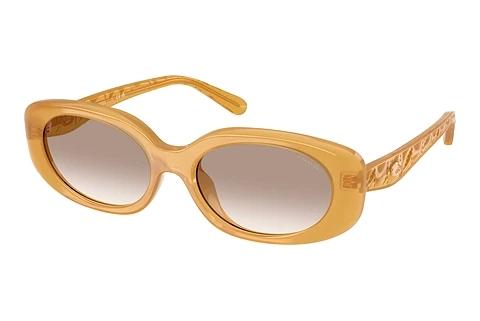 Lunettes de soleil Coach CBY84 (HC8443D 591313)