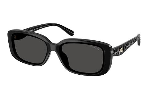 Lunettes de soleil Coach CBY86 (HC8444D 500287)