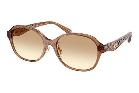 Lunettes de soleil Coach CBY85 (HC8445D 565413)