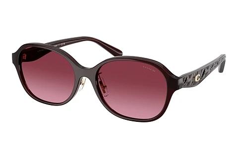 Lunettes de soleil Coach CBY85 (HC8445D 59158H)