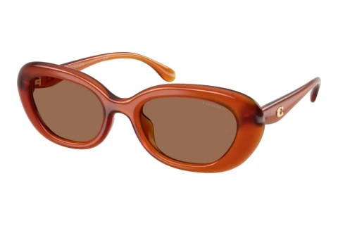 Lunettes de soleil Coach CDP35 (HC8448U 593073)