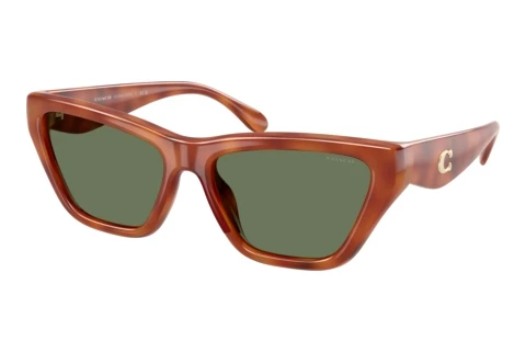 Lunettes de soleil Coach CDP33 (HC8449U 577482)