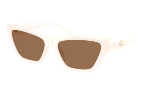 Lunettes de soleil Coach CDP33 (HC8449U 579073)