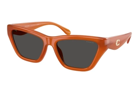 Lunettes de soleil Coach CDP33 (HC8449U 593087)