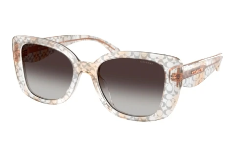 Lunettes de soleil Coach CDP48 (HC8450U 59328G)
