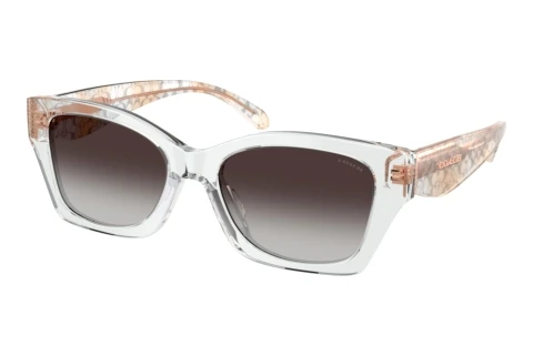 Lunettes de soleil Coach CDP49 (HC8451U 59358G)
