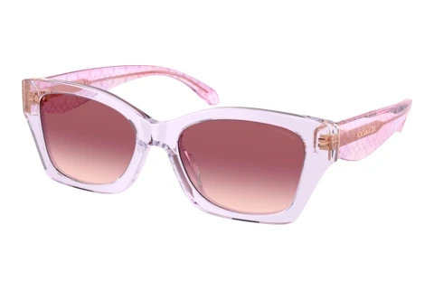 Lunettes de soleil Coach CDP49 (HC8451U 59367W)