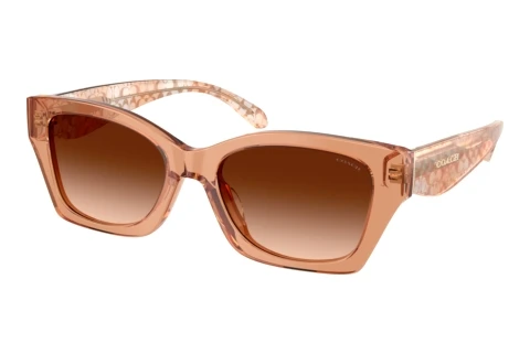 Lunettes de soleil Coach CDP49 (HC8451U 593774)