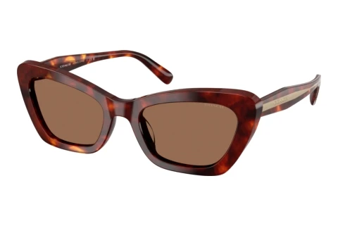 Lunettes de soleil Coach CDP52 (HC8452U 593873)