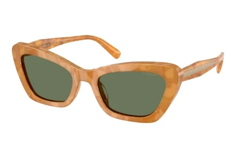 Lunettes de soleil Coach CDP52 (HC8452U 593982)