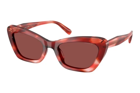 Lunettes de soleil Coach CDP52 (HC8452U 594075)
