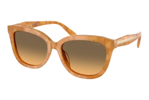 Lunettes de soleil Coach CDP53 (HC8453U 593911)