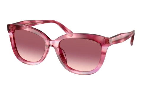 Lunettes de soleil Coach CDP53 (HC8453U 59417W)