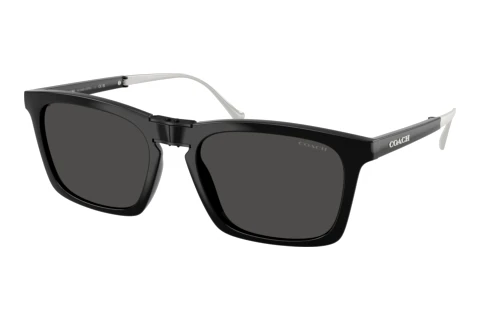 Lunettes de soleil Coach CDP54 (HC8455 500287)