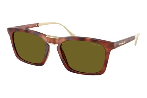 Lunettes de soleil Coach CDP54 (HC8455 5774/2)