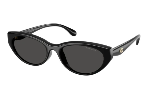 Lunettes de soleil Coach CDP42 (HC8456D 500287)