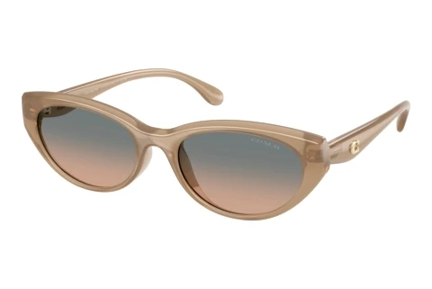 Lunettes de soleil Coach CDP42 (HC8456D 594413)