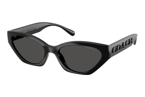 Lunettes de soleil Coach CFT83 (HC8459U 500287)