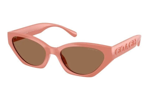 Lunettes de soleil Coach CFT83 (HC8459U 595573)