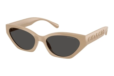 Lunettes de soleil Coach CFT83 (HC8459U 595687)