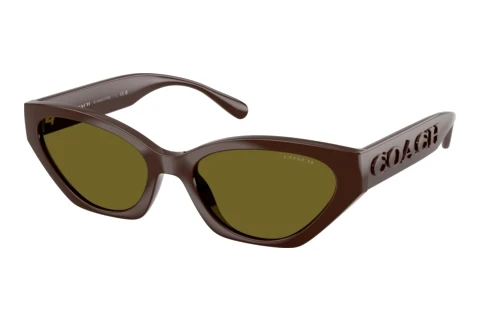 Lunettes de soleil Coach CFT83 (HC8459U 5957/2)