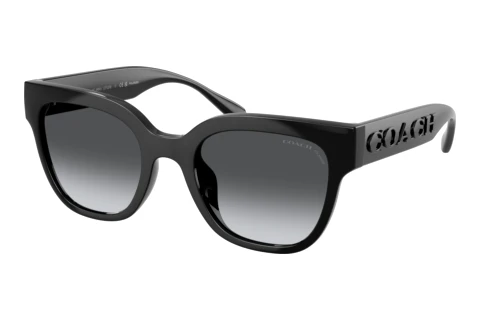 Lunettes de soleil Coach CFT88 (HC8460U 5002T3)