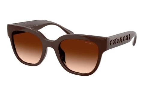 Lunettes de soleil Coach CFT88 (HC8460U 595774)