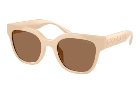 Lunettes de soleil Coach CFT88 (HC8460U 595873)