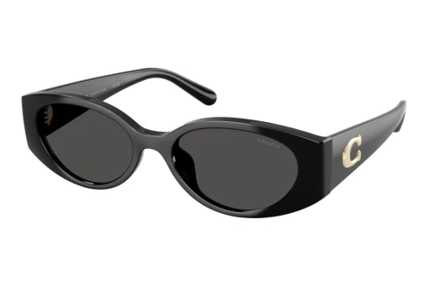 Lunettes de soleil Coach CFU06 (HC8462U 500287)