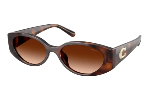 Lunettes de soleil Coach CFU06 (HC8462U 512074)